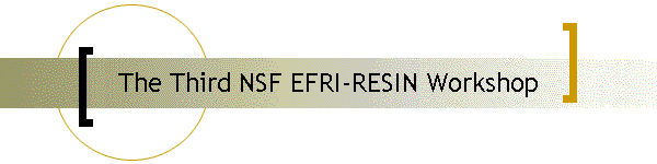 The Third NSF EFRI-RESIN Workshop